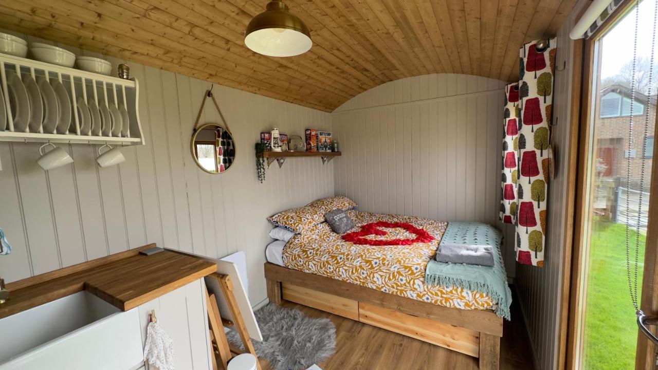 Alojamento de Turismo Selvagem Shepherds Hut At Cedar Gables *